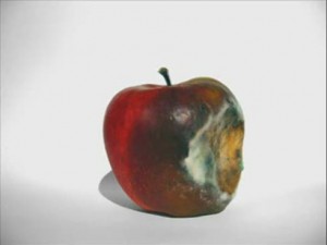 descomposicion
